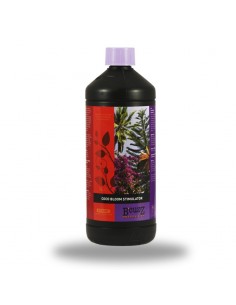 B'Cuzz Atami Coco Bloom...