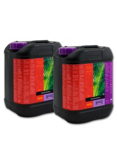 B'Cuzz Coco A 5L - BHOnas