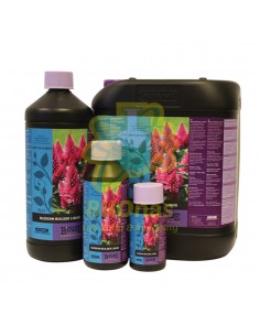 Blossom builder 250 ml 2